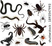 Collection of creepy insects, poisonous snakes, lizards, spiders, centipedes, worms, cockroaches and beetles. Vector illustration