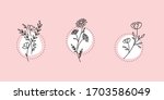 flowers. outline simple drawn... | Shutterstock .eps vector #1703586049