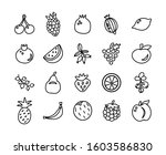 fruits and berries big set.... | Shutterstock .eps vector #1603586830