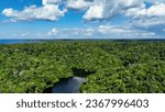 Small photo of Manaus Brazil. Taruma River at Amazon Forest affluent of giant Black River at Amazonian Biome. Natural wildlife landscape. Global warming logging deforestation. Amazon rainforest wildlife.