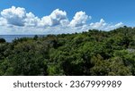 Small photo of Nature tropical Amazon forest at Amazonas Brazil. Mangrove forest. Mangrove trees. Amazon rainforest nature landscape. Amazon igapo submerged vegetation. Floodplain forest at Amazonas Brazil.