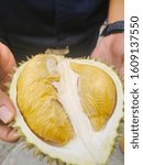 Small photo of Durian, king of fruits have good taste