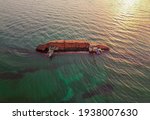 The Old Rusty Ship Was Stranded ...
