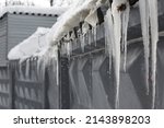 Large Icicles Hanging From The...