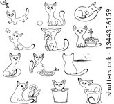 sweet little cats vector... | Shutterstock .eps vector #1344356159