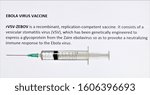 Small photo of Ebola Vaccine rVSV-ZEBOV consists of a vesicular stomatitis virus (VSV)which has been genetically engineered to create a glycoprotein from the Zaire ebolavirus this causes the immune system to respond