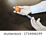 Small photo of Egg-based vaccine manufacturing is used to make both inactivated vaccine usually called the flu shot,and live attenuated vaccine usually called the nasal spray flu vaccine