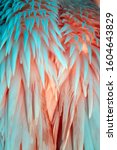 Exotic Flamingo Texture Feather ...