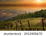 Vineyards in South Moravia near Mikulov in the Czech Republic. In the background is the Holy Hill and the sky at the setting sun