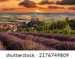 Beautiful landscape. View of the city of Mikulov in the Czech Republic in Europe. In the foreground are vineyards and lavender. There are some nice dramatic clouds in the sky.