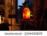 Small photo of Glimmering salt lamp surrounded by tropical plants in a cozy living room