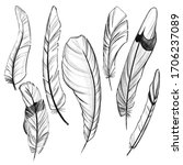 set of feathers. hand drawn... | Shutterstock . vector #1706237089