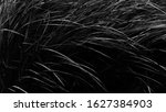a combination of lines in black ... | Shutterstock . vector #1627384903