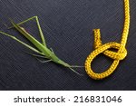 gold color rope cable with... | Shutterstock . vector #216831046