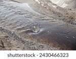 Small photo of a small river flows mightily to the sea after rain