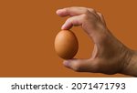 A Man Holding A Brown Egg On A...