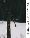 Small photo of CALGARY, CANADA - Jan 10, 2022: Fiskars axe planted in a tree