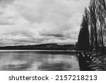 A grayscale shot of the lake with swans and trees on the shore against the cloudy sky 