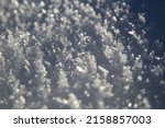 A closeup of tiny white frozen snowflakes in sunlight in winter