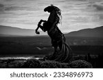 Small photo of WHITEHORSE, CA - Jul 18, 2019: A grayscale shot of the Whitehorse Horse sculpture in Whitehorse, Yukon Territory, Canada