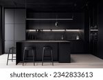 A sleek and modern, dark black kitchen exudes industrial edge and sophisticated style