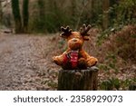 Dropped, stuffed reindeer toy sat on a tree stump in the woods on a frosty morning. Waiting for his owner to come looking for him.