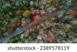 Small photo of An aerial view of an asphalt highway cutting through a lush landscape of trees and shrubbery