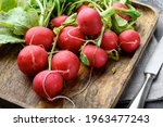 Bunch Of Organic Red Radishes...