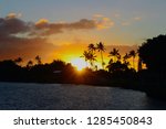 silhouette of the palm trees and other trees as the sun sets behind it, on the lagoon. Ewa Beach Oahu Hawaii