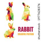 Rabbit Animal Set In Colorful...