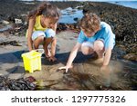 Boy and girl exploring in rock pool on summer beach vacation