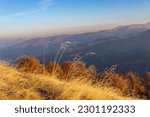 Stems of dry grass against the backdrop of a mountain landscape. Beautiful autumn scene in the morning Carpathian mountains