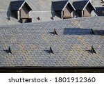 Detail of slate roof with metallic snow cutters and skylights. Town of Biescas. Aragon. Spain.                               