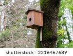 close-up Bird house on a tree. Wooden birdhouse, nesting box for songbirds in park in spring.