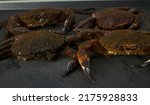 Live seafood. Small crabs from the Galician estuaries, in Spain