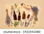 alternative herb medicine.... | Shutterstock . vector #1922541080