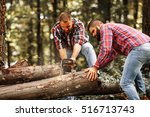 Two Lumberjacks Sawing Wood...