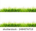 Grass Isolated On White...