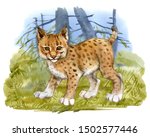 Watercolor Lynx Cub On Forest...