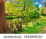 Arboretum  France   April 2021  ...