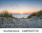 Sand dunes on the beach at...