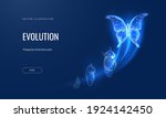 Evolution of a butterfly in a digital futuristic style. Insect life cycle, transformation from caterpillar to butterfly. The concept of a successful startup or investment or business transformation