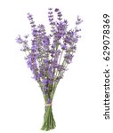 Bundle Of Lavender Isolated On...