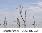Kow Swamp  Victoria Australia....