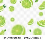 falling lime fruit. green... | Shutterstock .eps vector #1952098816