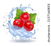 red currant isolated in water... | Shutterstock . vector #2157160853