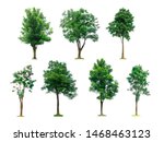 Tree set isolated on white background with clipping path