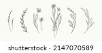 minimal hand drawn floral... | Shutterstock .eps vector #2147070589