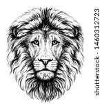 lion. sketchy  graphical ... | Shutterstock .eps vector #1460312723