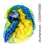  Macaw Parrot. Hand Drawn ...